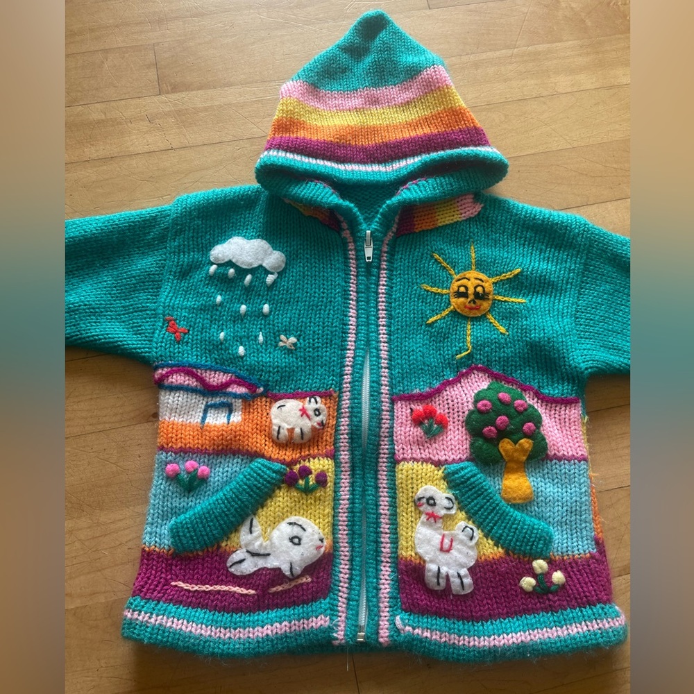 Peruvian Handmade Sweater with hood and embroidery